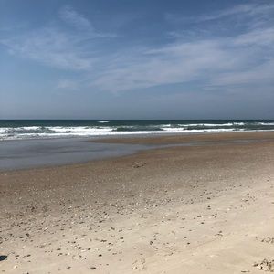 Meet your Posher, Penny